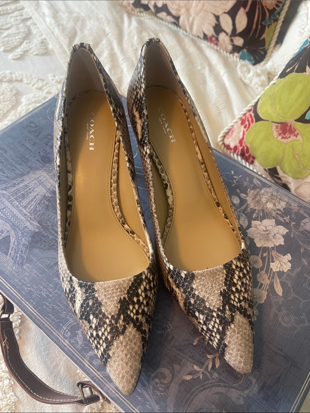 COACH Snake-Print Pointed Toe Pumps in Beige and Black